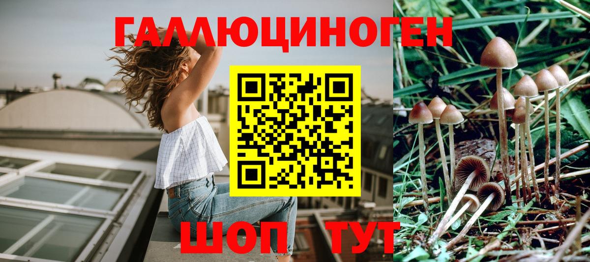 Новоуральск  Галлюциногенные грибы ЛСД  Вход с VPN 